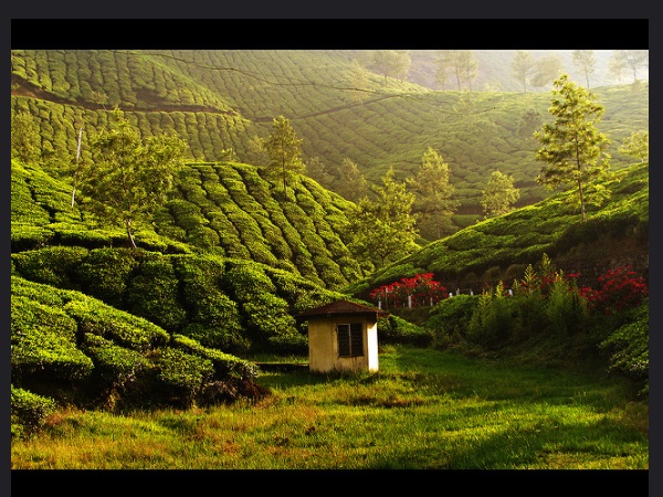 തേയിലത്തോട്ടങ്ങൾക്കു നടുവിലെ മൂന്നാർ