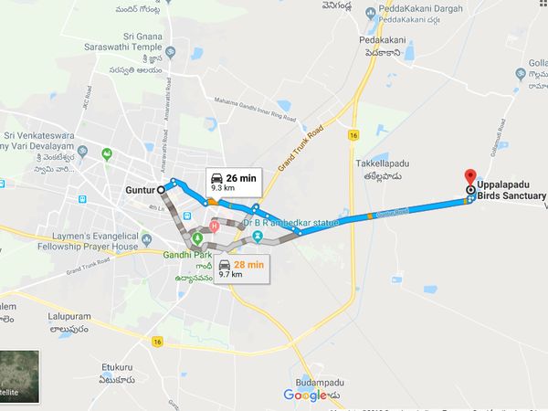 ഉപ്പളപ്പാട് പക്ഷി സങ്കേതത്തിലേക്ക് എങ്ങിനെ എത്തിച്ചേരാം