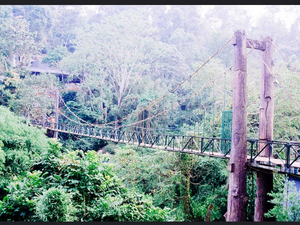 വെള്ളച്ചാട്ടങ്ങളുടെ ഭംഗി കാണാൻ വയനാട്