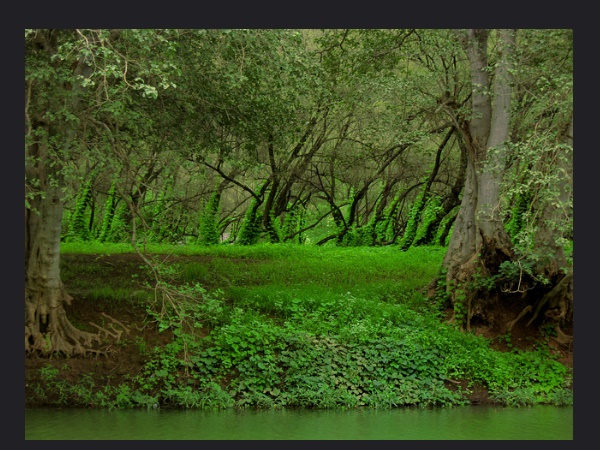 കാടിനു യോജിച്ച വസ്ത്രങ്ങൾ