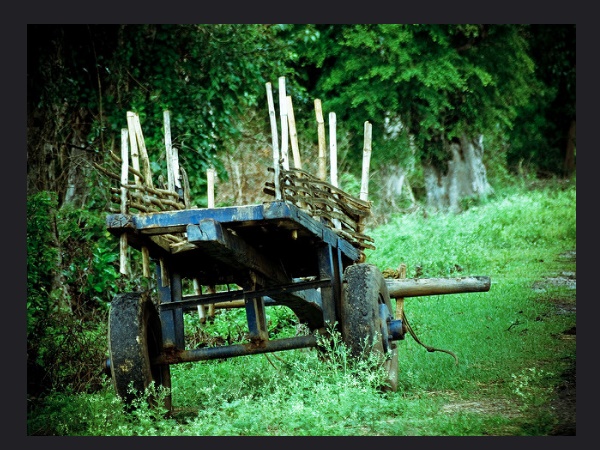 ശ്രദ്ധിക്കേണ്ട കാര്യങ്ങൾ