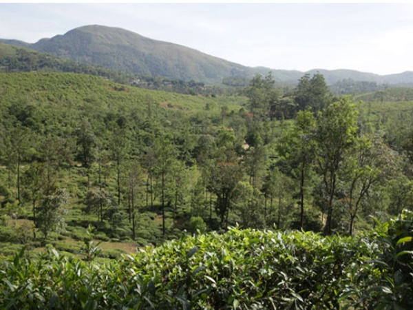 അമൃതമേട്