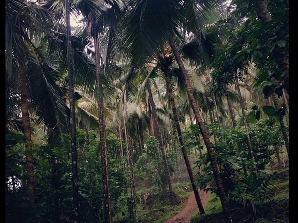 ചട്ടമല
