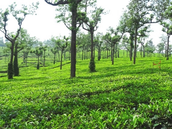 ചിത്തിരപുരം