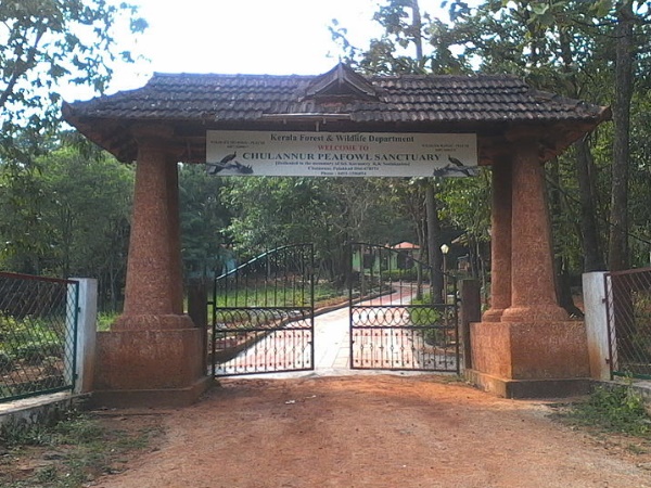 ചൂലന്നൂർ മയിൽ സംരക്ഷണ കേന്ദ്രം