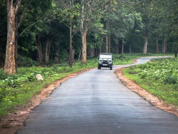 കബനി ഫോറസ്റ്റ്