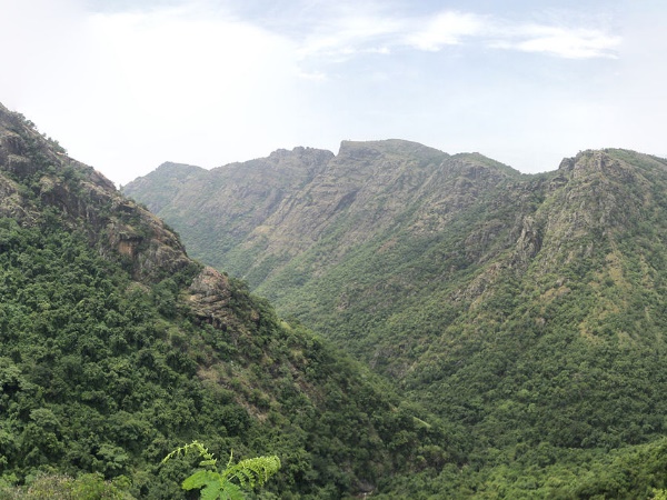 പേരുവന്ന വഴി