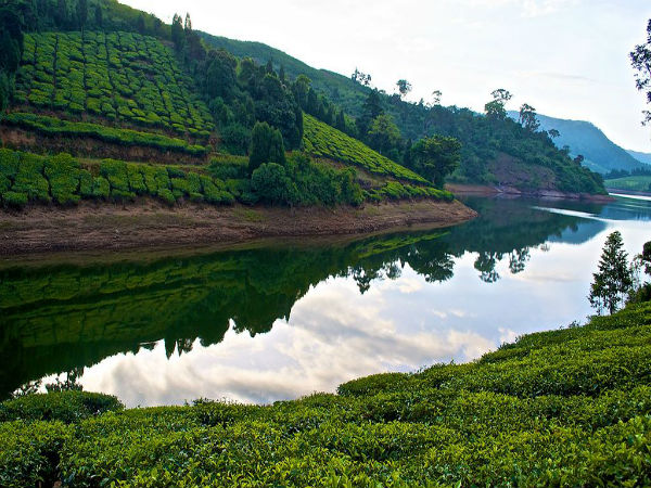 മേഘമലൈ - തമിഴ്നാട്
