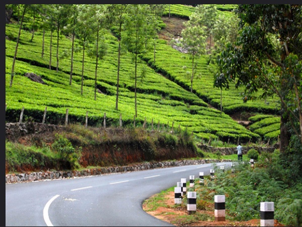 മൂന്നാർ