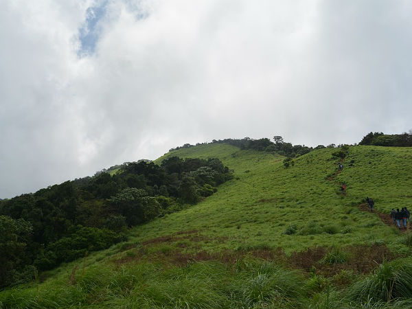 കാഴ്ച്ചകളൊരുക്കി പൈതല്മല