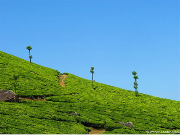 പാലംപൂർ, ഹിമാചൽ പ്രദേശ്