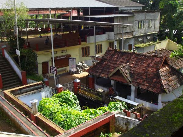 വള്ളിപ്പടർപ്പിനുള്ളിലെ മൂകാംബിക