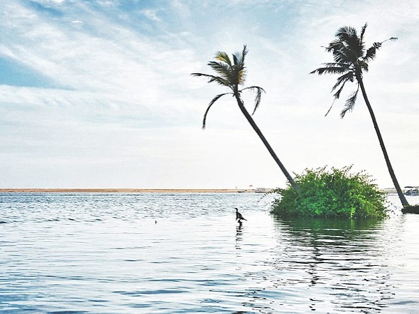 പൂവാർ