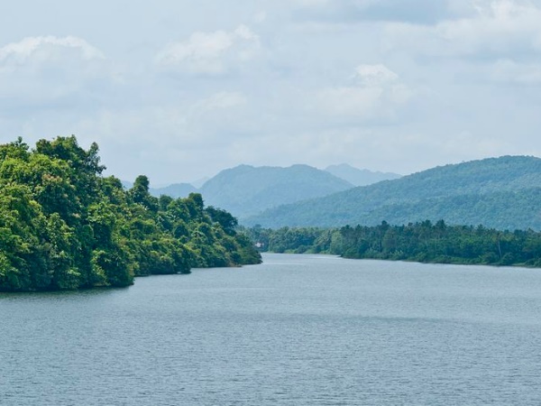 തട്ടേക്കാട്