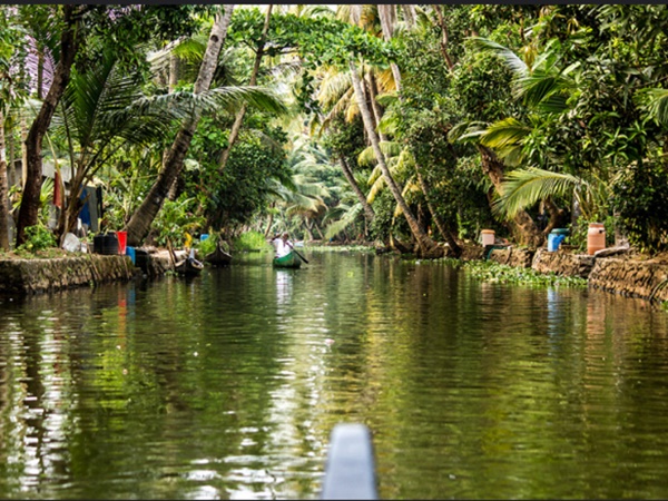 വൈക്കം കായൽ