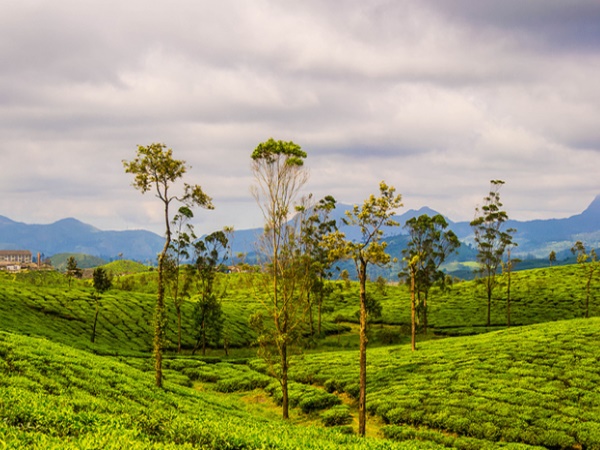 വാൽപ്പാറ, തമിഴ്നാട്