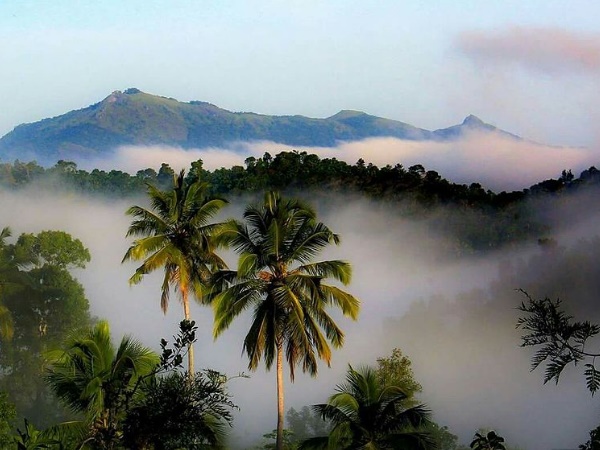 വയനാട്