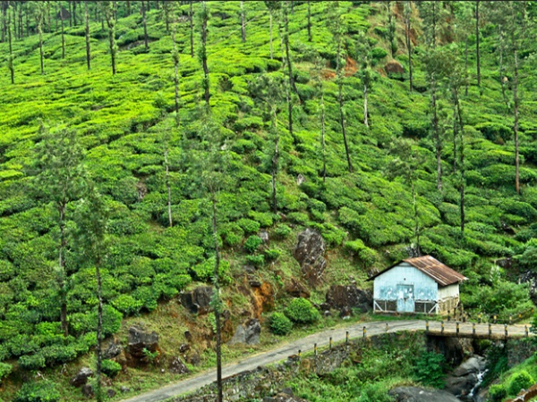 വയനാട്