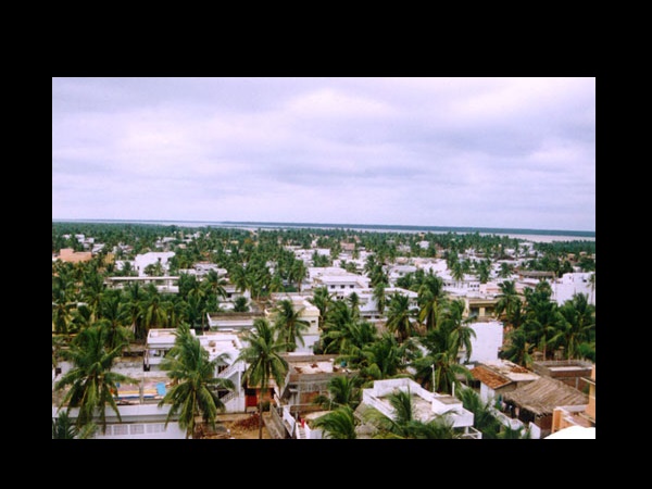 യാനം സന്ദർശിക്കാൻ ഏറ്റവും അനുയോജ്യമായ സമയം