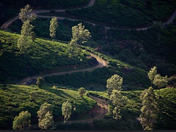 മൂന്നാർ