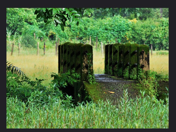 കർണ്ണാടകയുടെ കാശ്മീർ