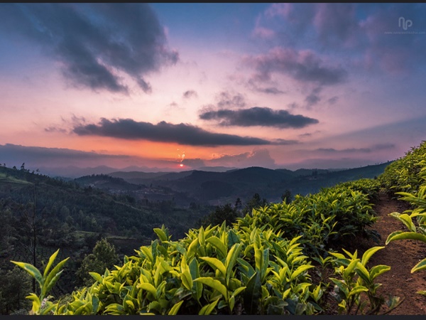 നീലഗിരിയുടെ സ്വിറ്റ്സര്ലൻഡ്