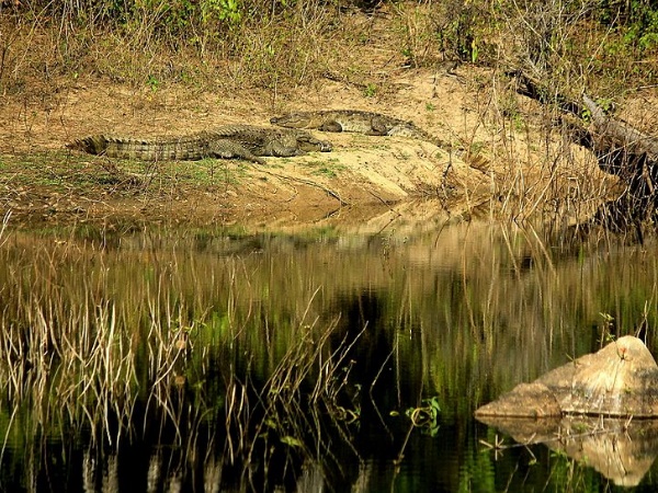 മെഹായോ വന്യജീവി സങ്കേതം
