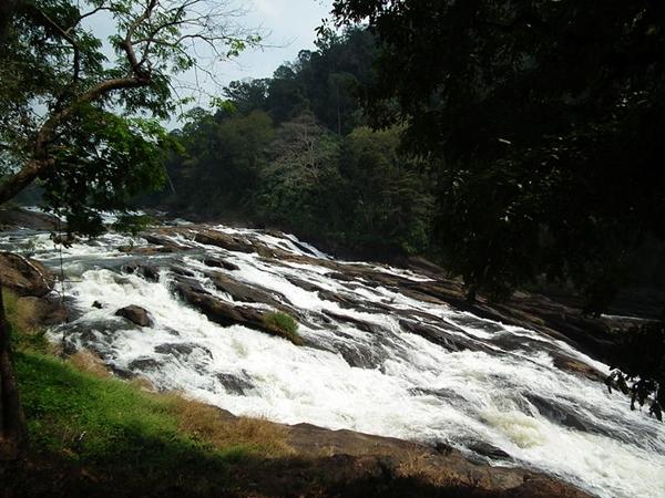 .തണ്ണിപ്പാറൈ