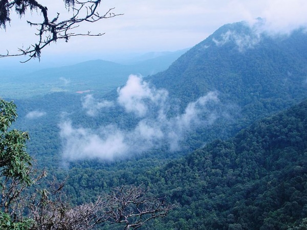 അഗുംബെ