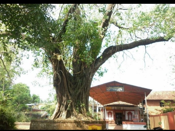 അക്ലിയത്ത് ശിവക്ഷേത്രം