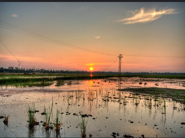 ആലപ്പുഴ