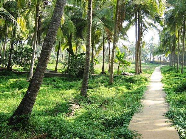 അഴീക്കോട്