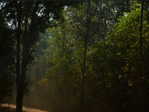 സന്ദർശിക്കാൻ പറ്റിയ ഏറ്റവും നല്ല സമയം