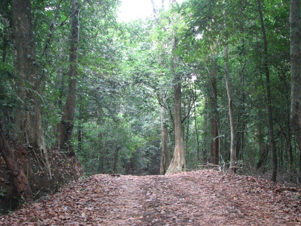 കുടജാദ്രി