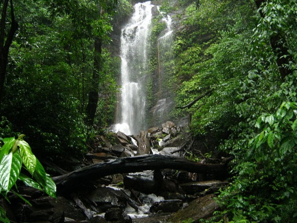 കുടജാദ്രി
