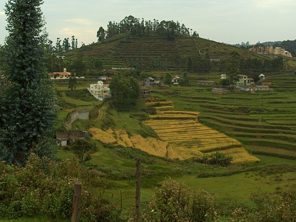 കൊടൈക്കനാൽ