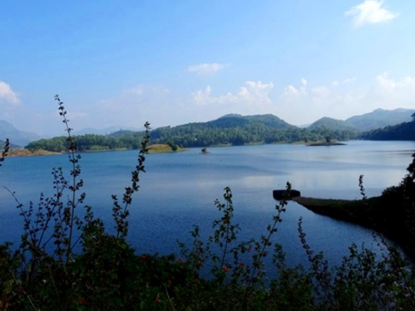 കുളമാവ്
