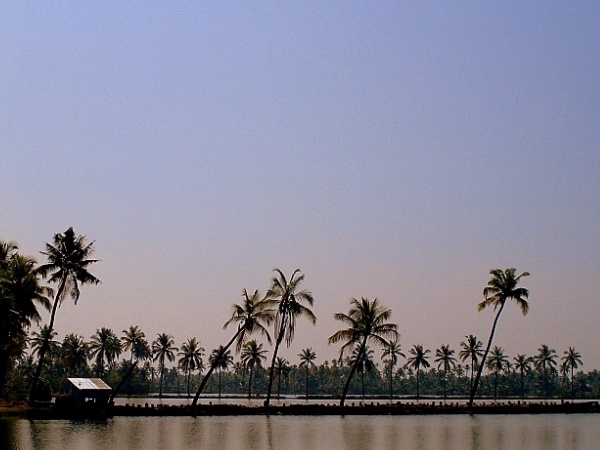 കുമ്പളങ്ങി