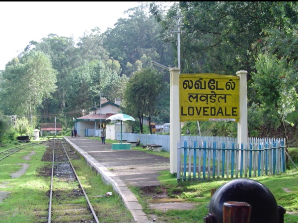 ലവ് ഡെയ്ൽ