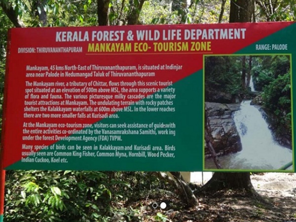 മങ്കയം