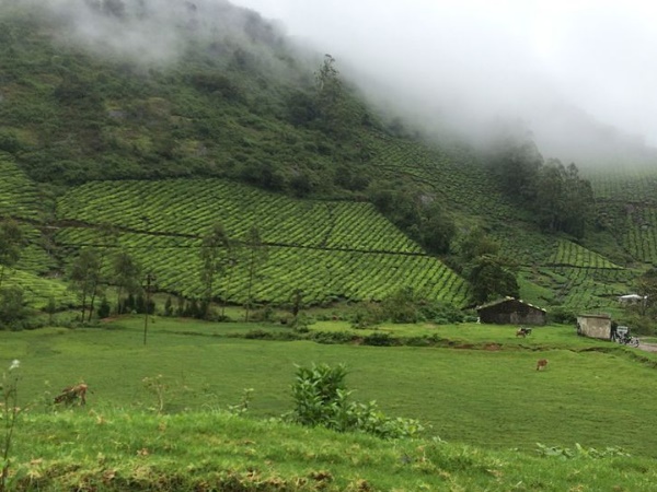 താമസസൗകര്യവും ബസും