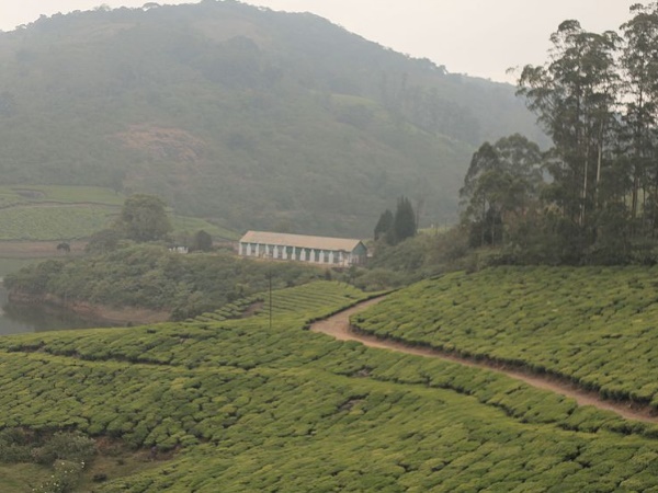 18 വളവുകൾ