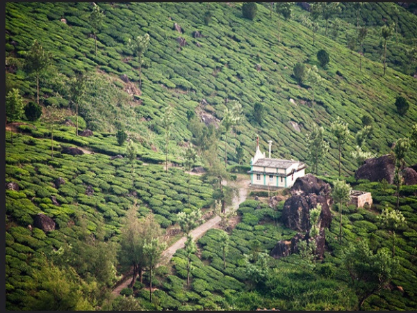 മറ്റു കാഴ്ചകൾ