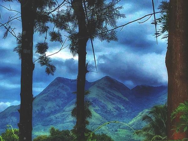 നീലിമല