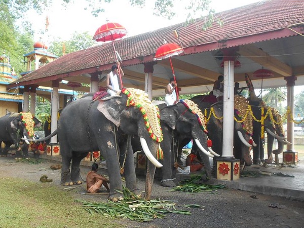 ഓമല്ലൂർ രക്തകണ്ഠസ്വാമി ക്ഷേത്രം