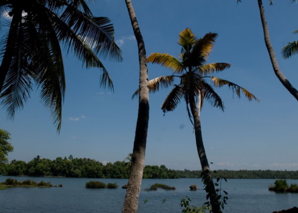 വെള്ളം കയറി ചുരുങ്ങിയ തുരുത്ത്