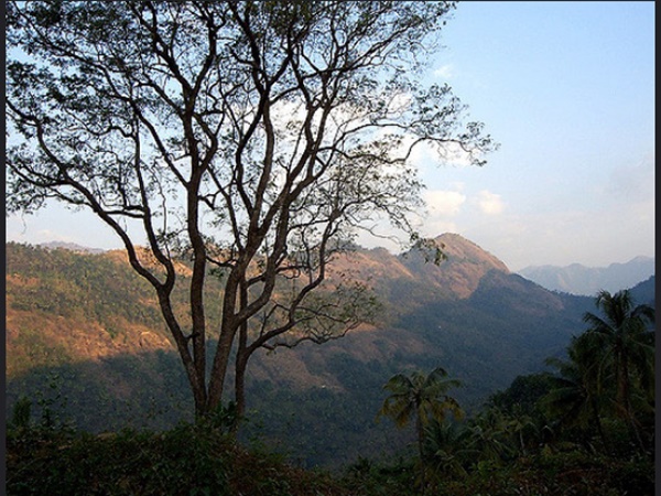 പൂഞ്ഞാർ