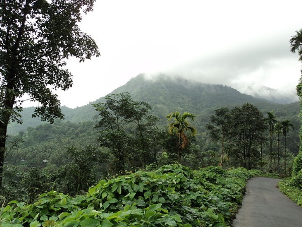 തുഷാരഗിരി ട്രക്കിങ്ങ്