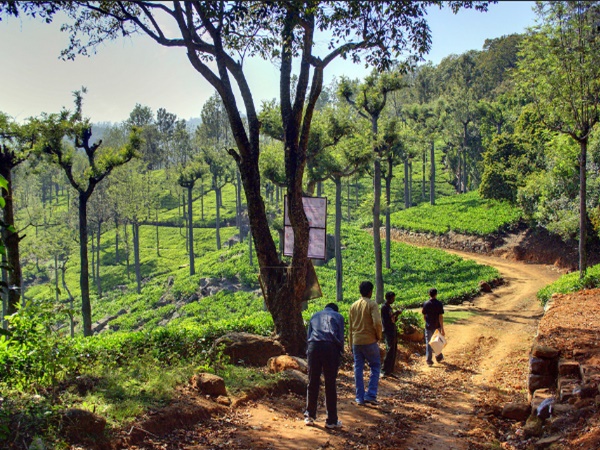 കേത്തി ട്രക്കിങ്ങ്
