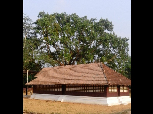 ഗോത്രവര്ഗ്ഗക്കാരുടെ ഉത്സവം